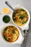 Sopa de pollo y pasta vegana