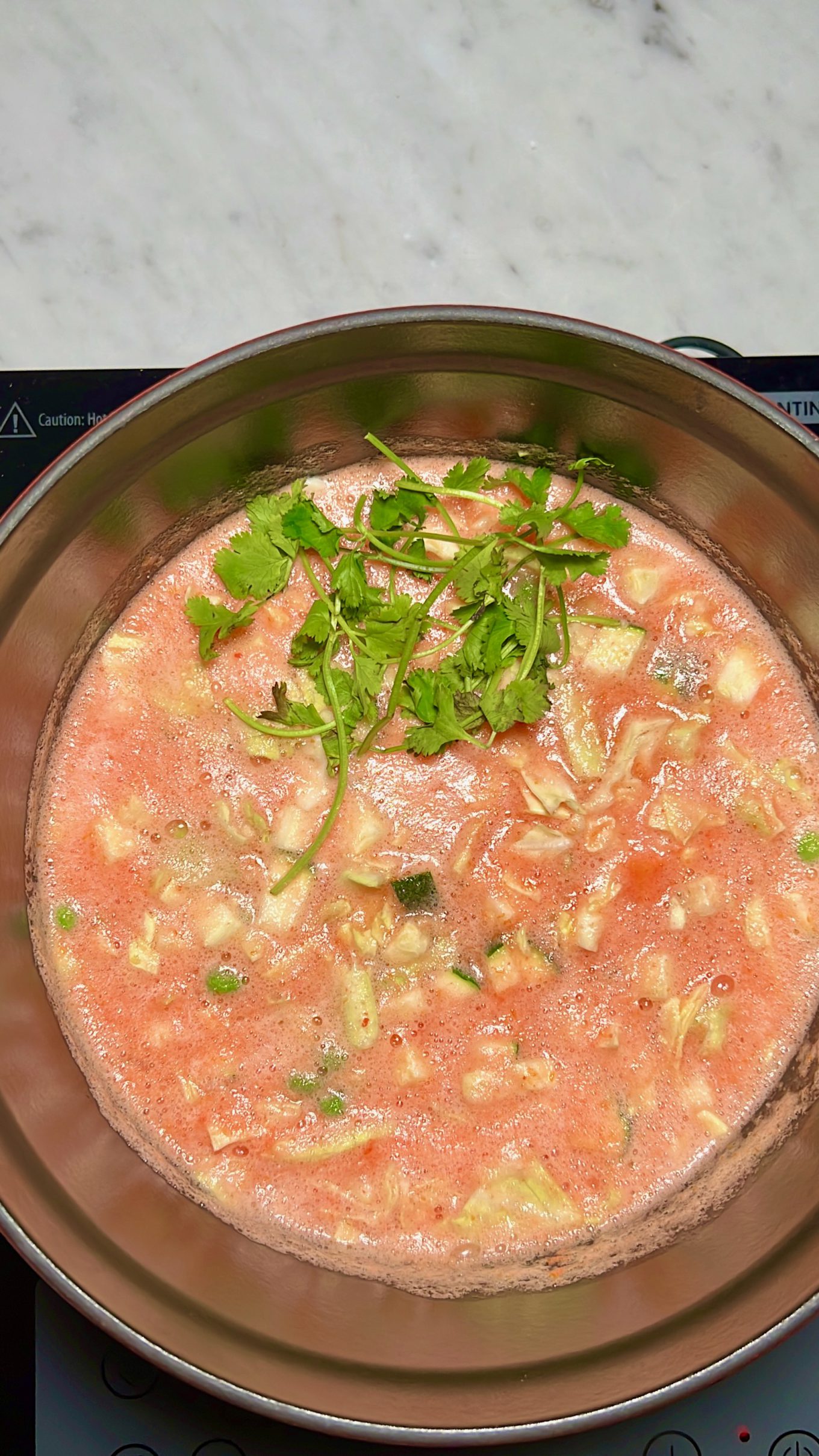 Una sopa de albóndigas mexicana vegana, también conocida como Sopa de Albóndigas, a fuego lento.